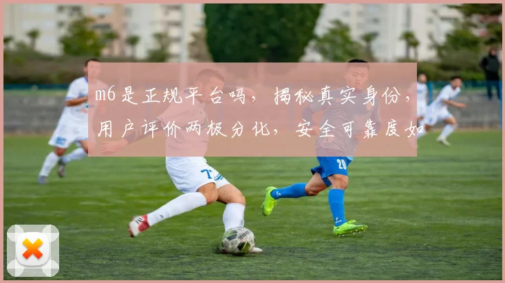 m6是正规平台吗，揭秘真实身份，用户评价两极分化，安全可靠度如何