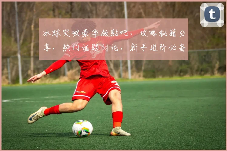 冰球突破豪华版贴吧，攻略秘籍分享，热门话题讨论，新手进阶必备，一网打尽