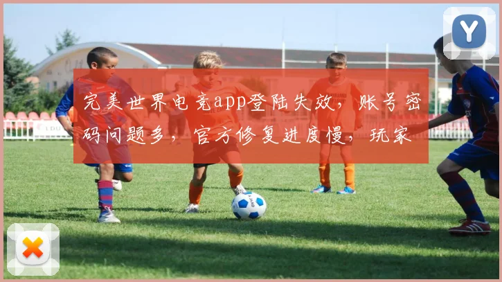完美世界电竞app登陆失效，账号密码问题多，官方修复进度慢，玩家急了，怎么办